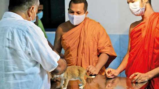 dailymirror.lk