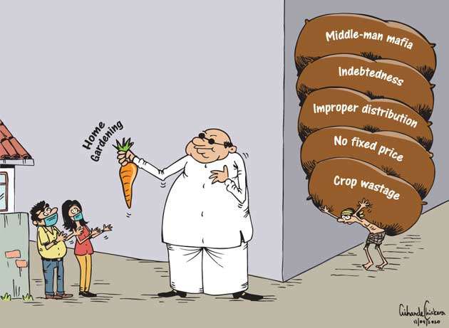 dailymirror.lk