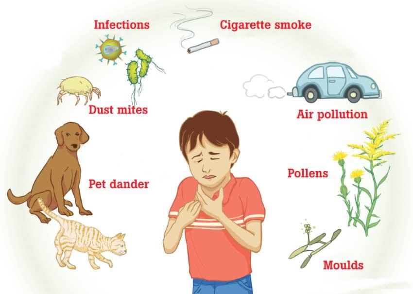 Daily Mirror Avoiding asthma triggers