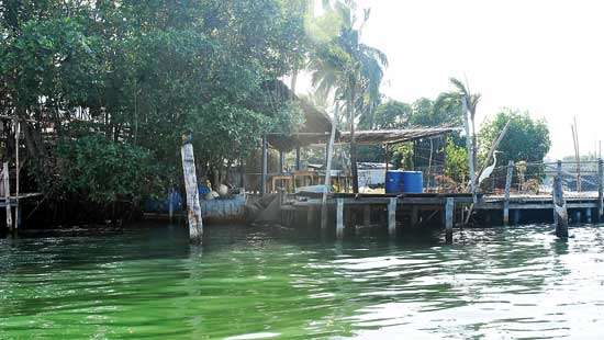dailymirror.lk