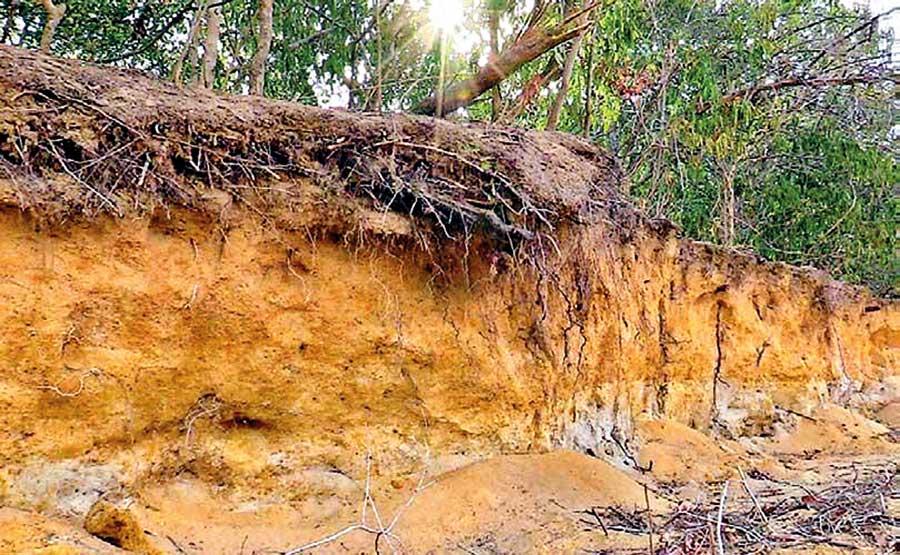 Daily Mirror Illegal sand mining; Dismay as sand seeps through legal