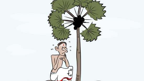 dailymirror.lk